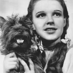 the_wizard_of_oz_judy_garland_terry_1939